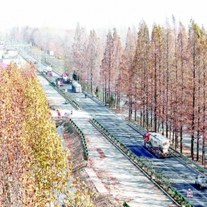 S313ͷ¶һ·Ľ̼ƻ2026ϰ߱ͨ